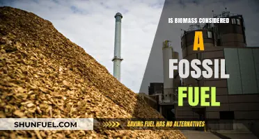 Biomass: Fossil Fuel or Renewable Energy?