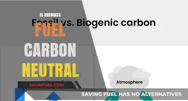 Is Biomass Fuel Truly Carbon Neutral? Exploring the Environmental Impact