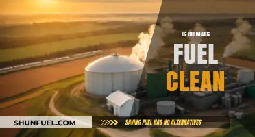 Is Biomass Fuel Truly Clean? Exploring Its Environmental Impact