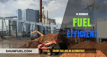 Is Biomass Fuel Efficient? Exploring Sustainability and Energy Output