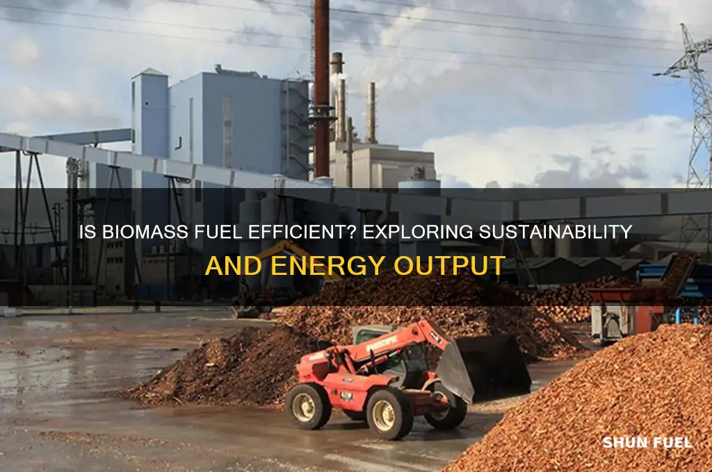 is biomass fuel efficient