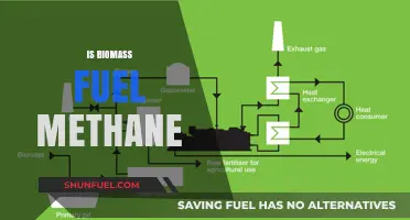 Is Biomass Fuel Methane? Exploring Renewable Energy Sources and Gases