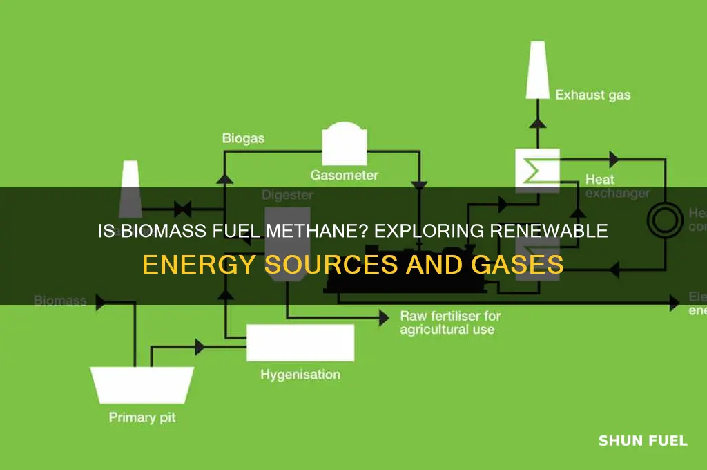 is biomass fuel methane