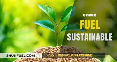 Biomass Fuel Sustainability: A Viable Green Energy Solution or Myth?