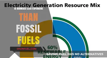 Biomass Energy: Cheaper Than Fossil Fuels?