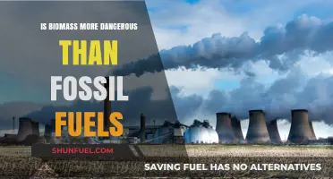 Biomass: A Cleaner Energy Source Than Fossil Fuels?