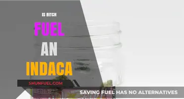 Is Bitch Fuel an Indica? Exploring Cannabis Strains and Effects