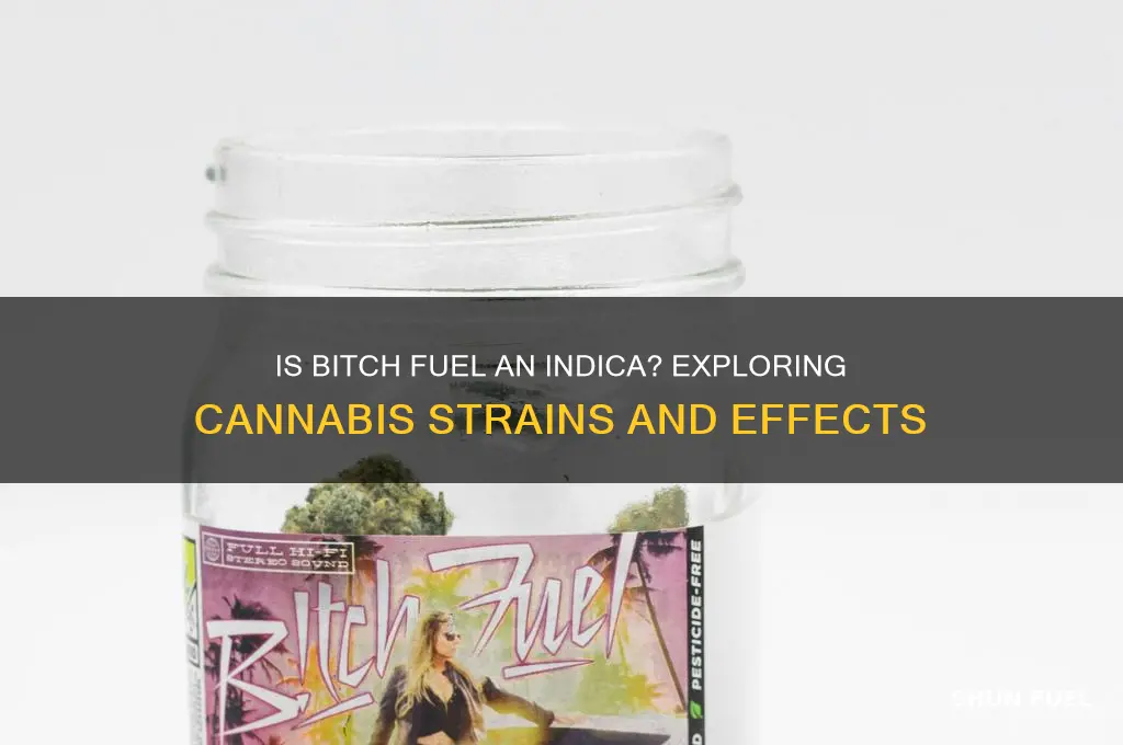 is bitch fuel an indaca