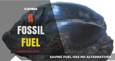 Bitumen: Fossil Fuel or Not?