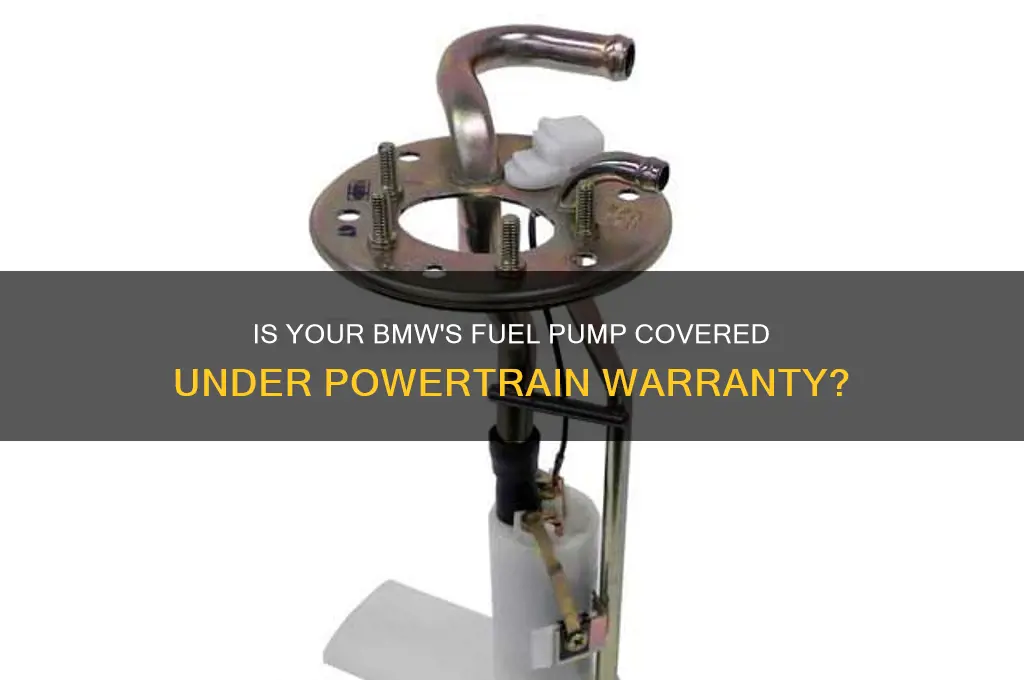 is bmw fuel pump under powertrain warranty
