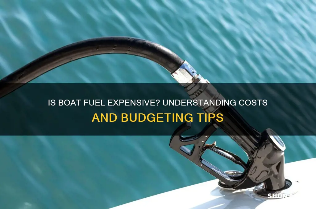 is boat fuel expensive