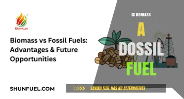 Is Biomass a Fossil Fuel? Exploring Renewable Energy Myths