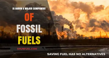 Boron's Role in Fossil Fuels: A Major Player?