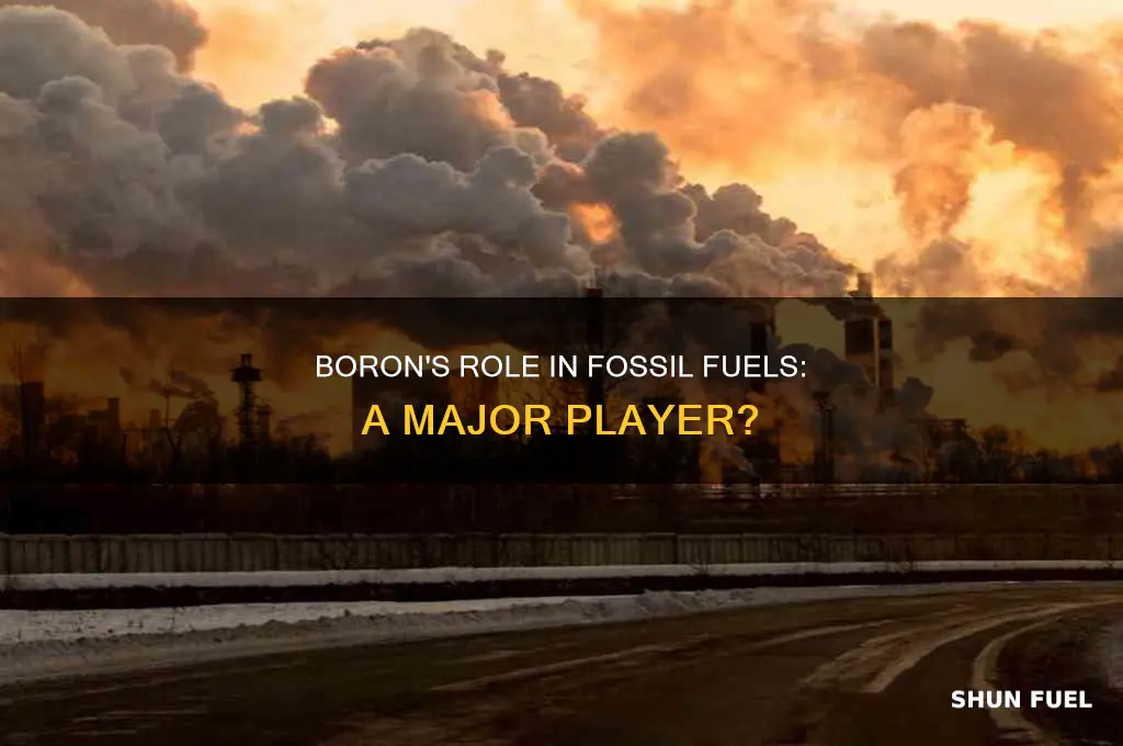 is boron a major component of fossil fuels