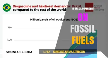 Brazil's Fossil Fuel Dependence: A Complex Challenge