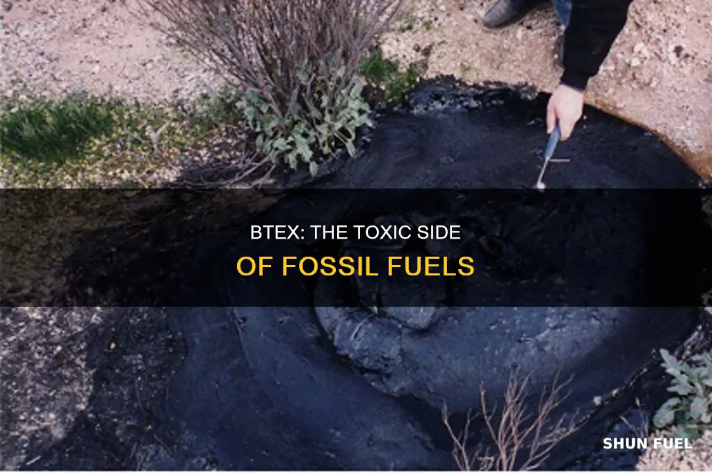 is btex found in fossil fuels