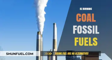 The Dark Side of Burning Coal: Fossil Fuel's Impact