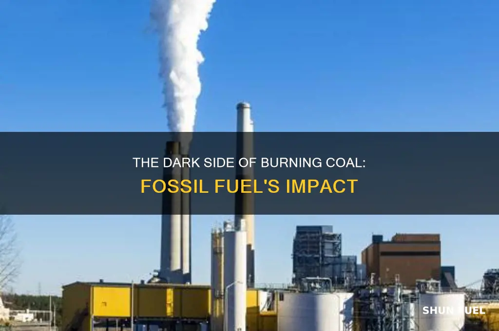 is burning coal fossil fuels