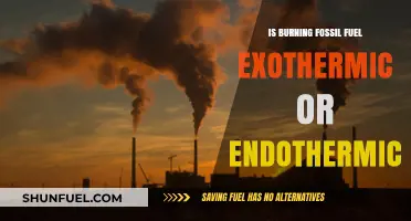 Fossil Fuels: Exothermic Reaction, Warming the Planet
