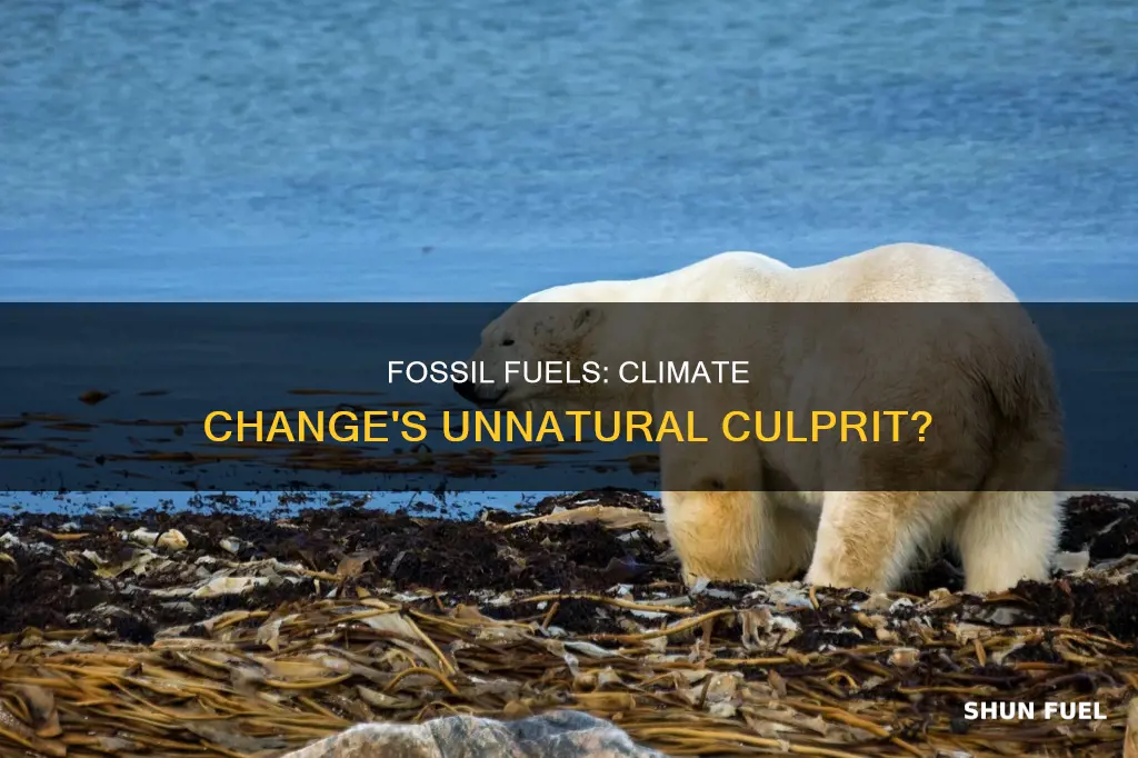 is burning fossil fuel natural climate change