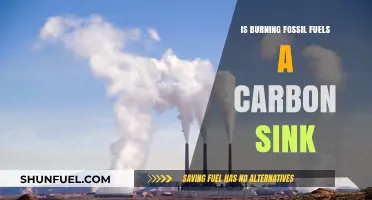 Fossil Fuels: Carbon Sink or Climate Change Culprit?