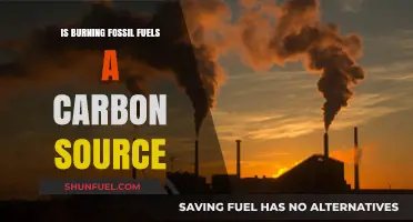 Fossil Fuels: Carbon Sources and Climate Change