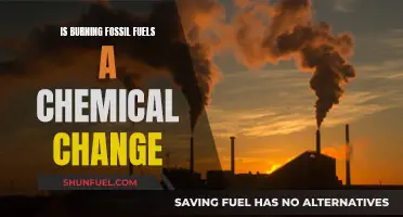 Fossil Fuels: Chemical Change and Our Future