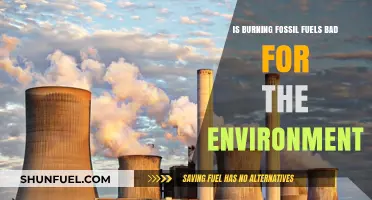 Fossil Fuels: Damaging Our Planet's Health