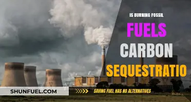 Fossil Fuels: Carbon Sequestration or Climate Catastrophe?