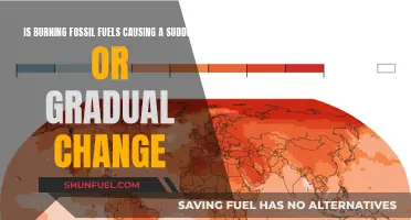 Fossil Fuels: Gradual Change, Sudden Impact?