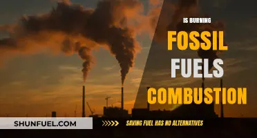 Fossil Fuels: Burning Combustion, Igniting Climate Change