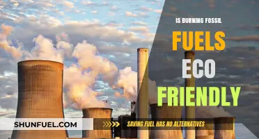 Fossil Fuels: Eco-Friendly or Environmental Disaster?