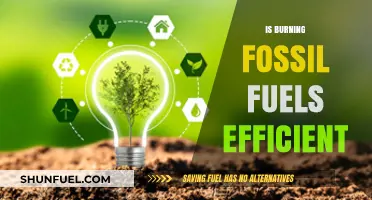 Fossil Fuels: Energy Efficiency or Environmental Disaster?