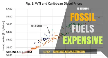 The High Cost of Burning Fossil Fuels