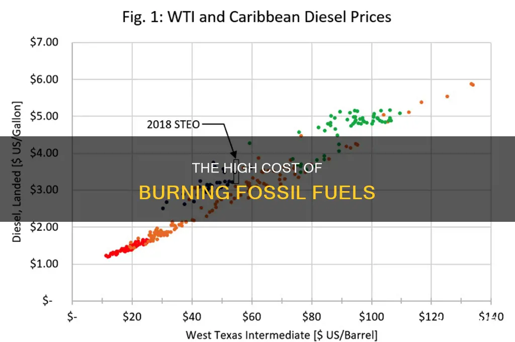 is burning fossil fuels expensive