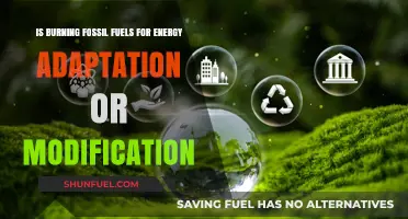Fossil Fuels: Adapting or Modifying Our Energy Future?