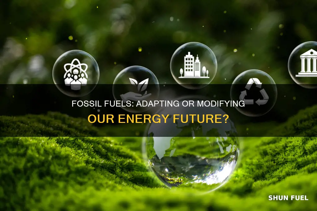 is burning fossil fuels for energy adaptation or modification