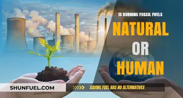 Human Impact: Burning Fossil Fuels and Nature