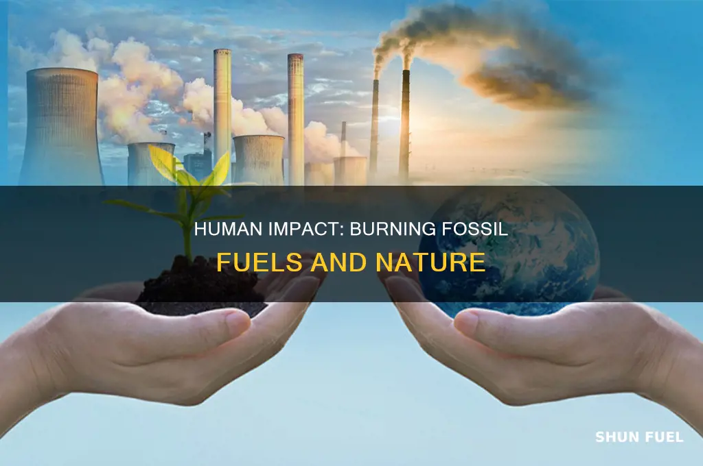 is burning fossil fuels natural or human