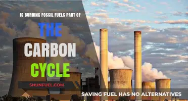 Fossil Fuels: Carbon Cycle's Dark Side