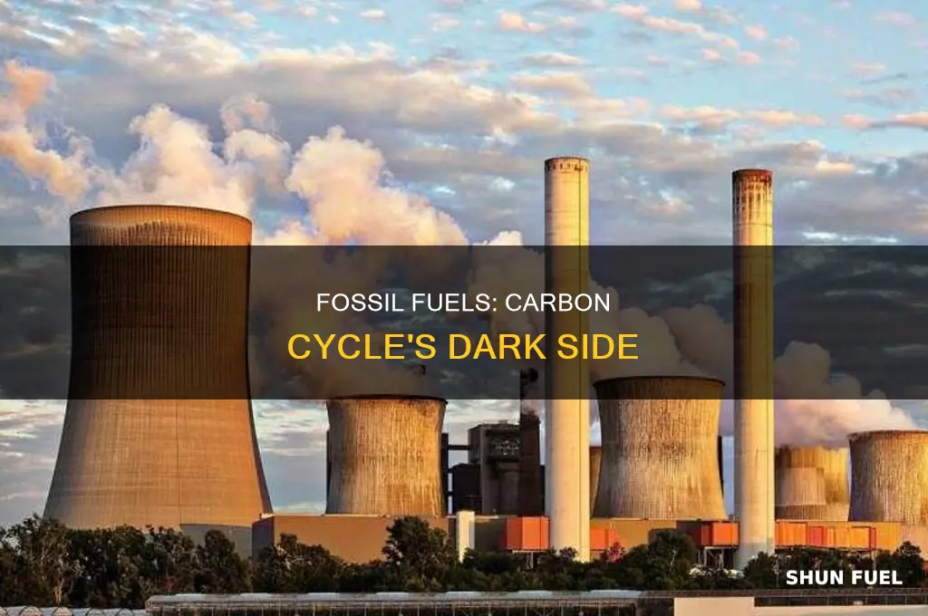 is burning fossil fuels part of the carbon cycle