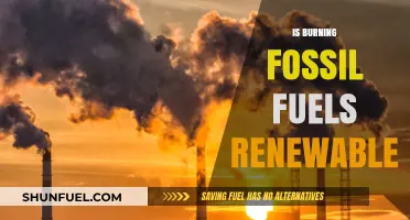 Fossil Fuels: Are They Renewable?