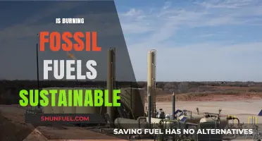 Fossil Fuels: Sustainable or Not?