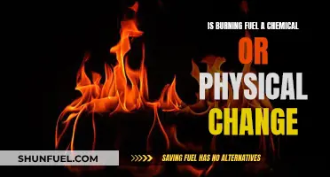 Fuel Burning: Chemistry or Physics?