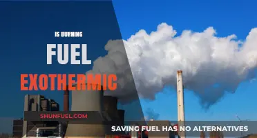 Is Burning Fuel Exothermic? Unraveling the Science Behind Combustion
