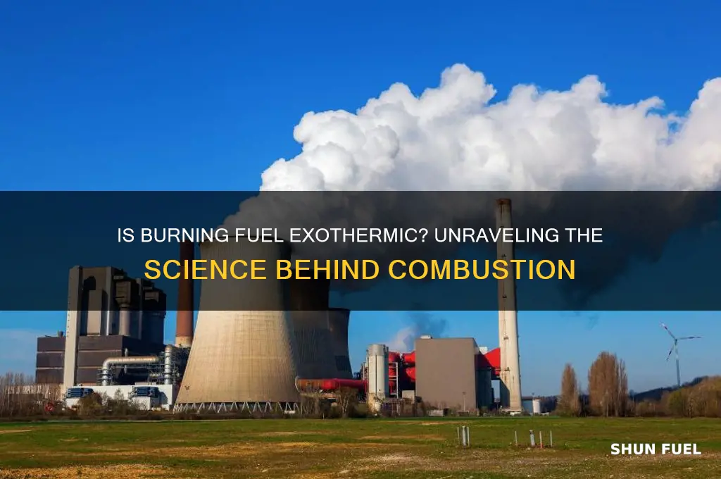 is burning fuel exothermic