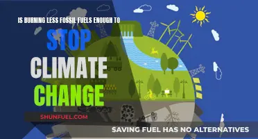 Burning Fossil Fuels: Can We Stop Climate Change?