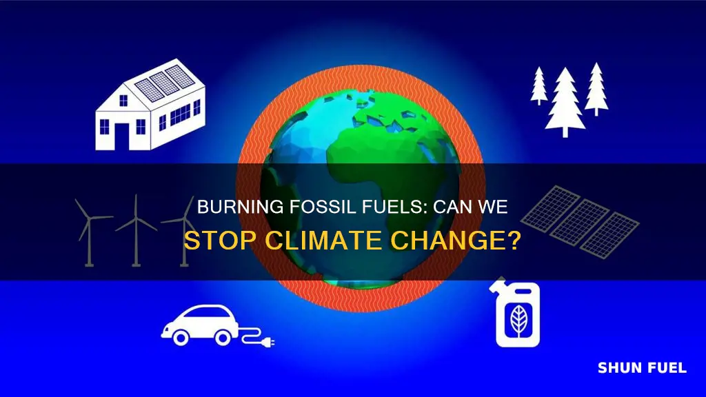 is burning less fossil fuels enough to stop climate change