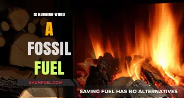 Wood Burning: Is It a Fossil Fuel?