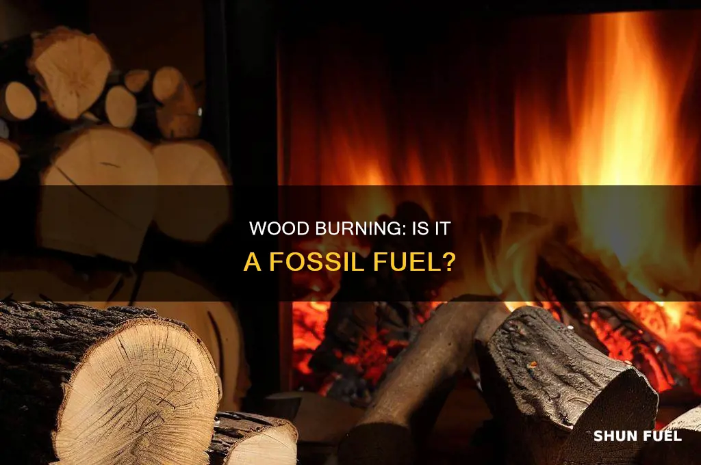 is burning wood a fossil fuel